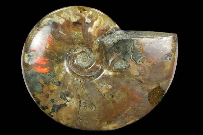 Flashy Red Iridescent Ammonite - Wide #127908